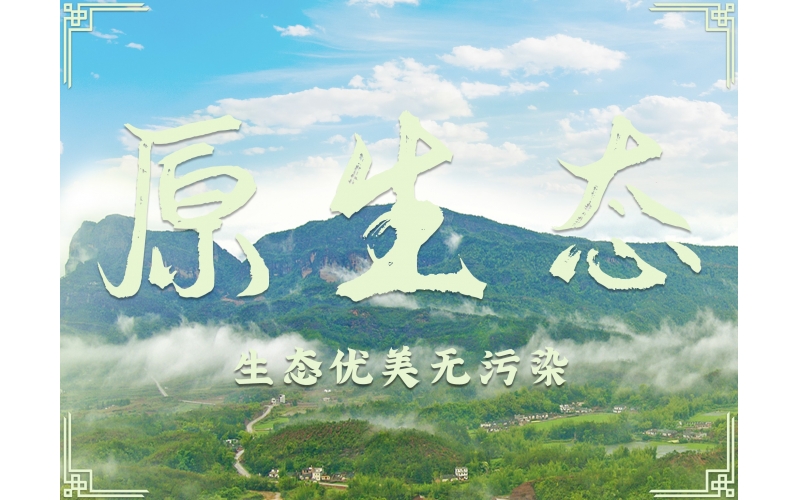 百業(yè)待興！為何白酒行業(yè)如此堅挺？南臺酒業(yè)為你揭秘