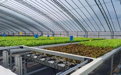 阿里云 智能農業的領航者，高科技助新農人畝產躍升六倍