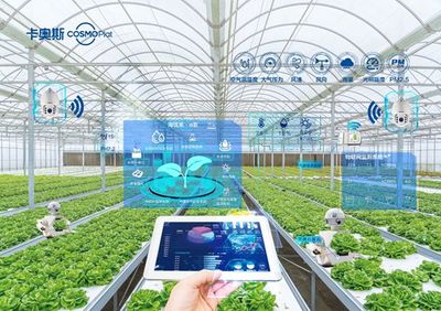 卡奧斯海優禾入選農業農村部信息中心優秀案例 科技點亮田間，智能管理賦能鄉村振興